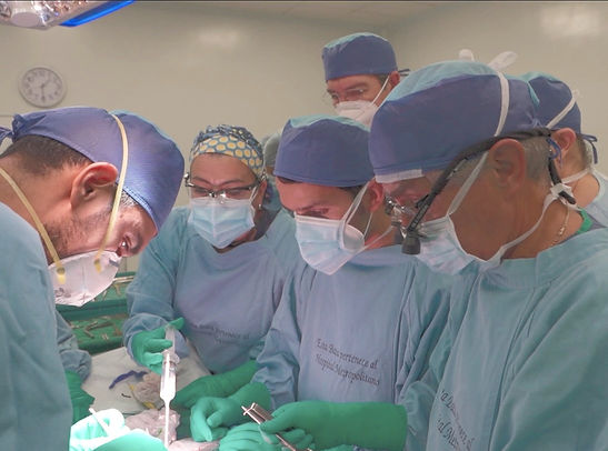 Un equipo de cirujanos realiza una operación de espina bífida. Una bebé de 25 semanas de gestación fue intervenida.