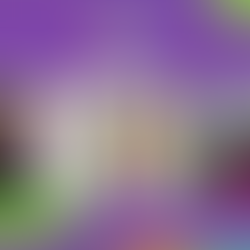 'Los primeros 1 000 días’, un foro por la salud materno-infantil