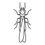 Termite_edited.png