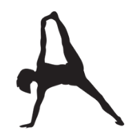 Ashtanga Yoga Theory and Practice- Ashtanga Yoga Teacher Certification and Authorization