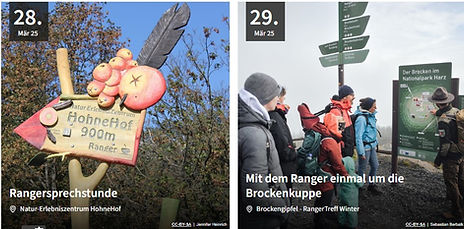Schermafbeelding 2025-03-16 143529.jpg