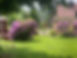 IMG_6817.jpeg
