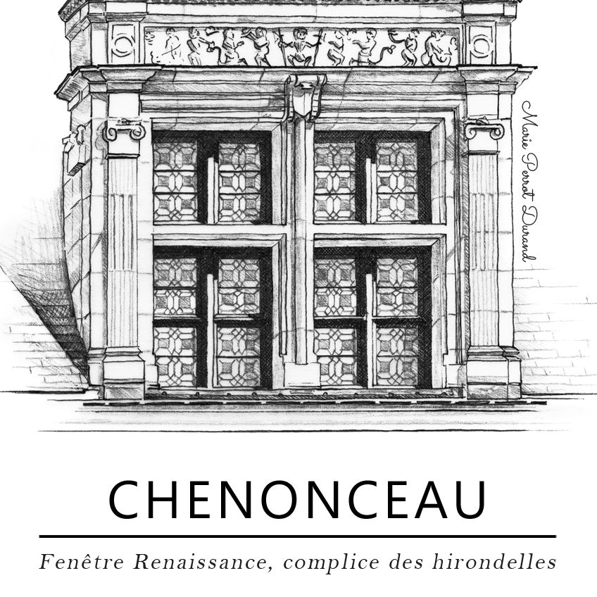 Miniature : Chenonceau - fenêtre Renaissance et hirondelle (P)