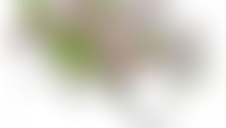 /// SOUS LE TRAIT - LA STRUCTURE ______________