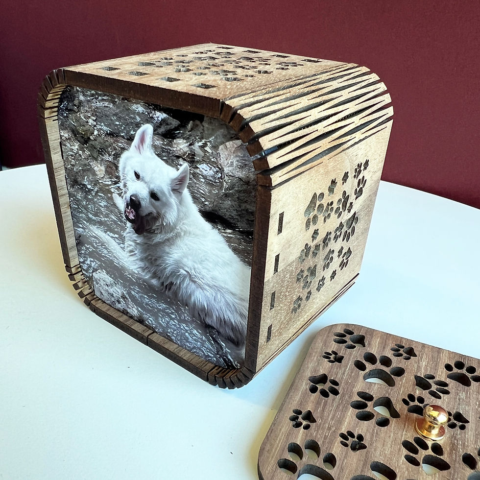 Thumbnail: Snapshot Memory Box - "Pawprint" Design |  Personalised Pet Gift with Audio