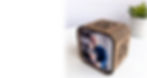snapshot box 2_3b.jpg