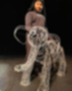Aanika's Elephants