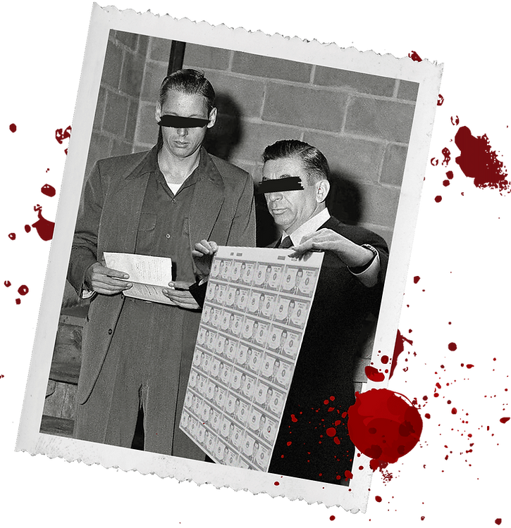polaroid_presssheet2.png