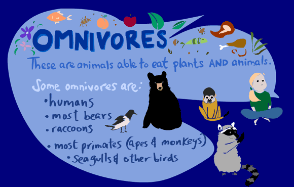 omnivore2.gif