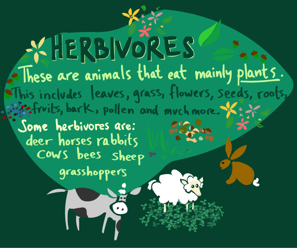 herbivore.gif