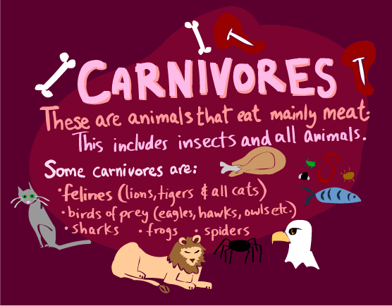 carnivore.gif