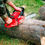 Thumbnail: Chain Saws