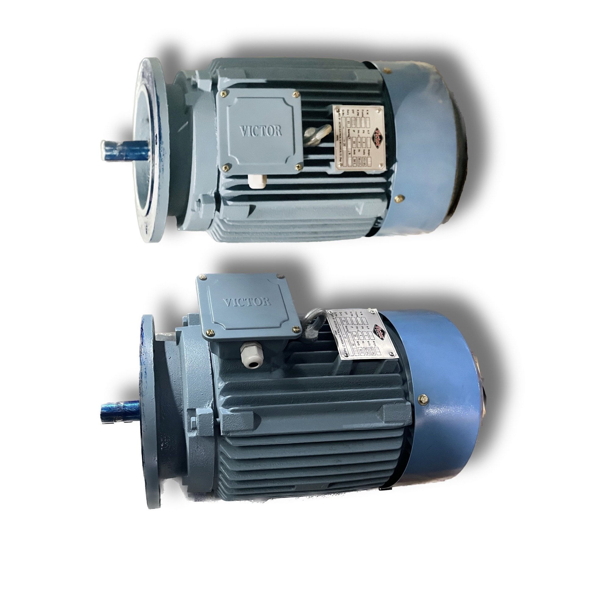 Special Purpose Motors