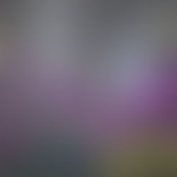 The Joy of Giving and Thanksgiving