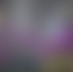 The Joy of Giving and Thanksgiving