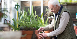 Planting a Plant