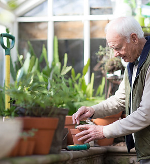 Planting a Plant