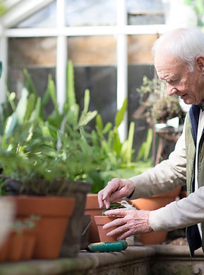 Planting a Plant