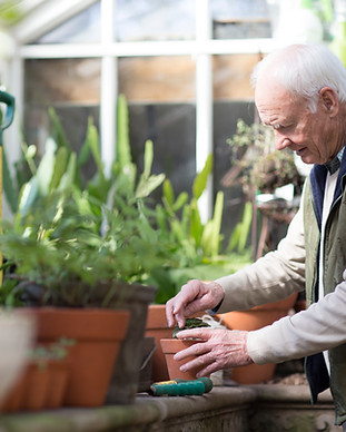 Personnes âgées qui plante