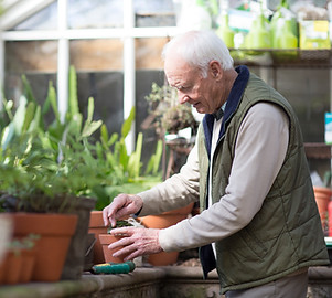 Planting a Plant