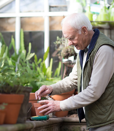 Planting a Plant