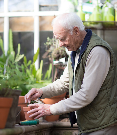 Planting a Plant