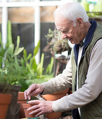 Planting a Plant