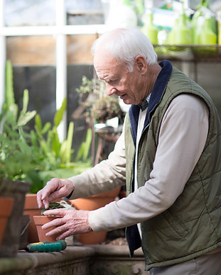 Planting a Plant