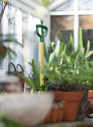 Planting a Plant