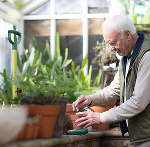Planting a Plant