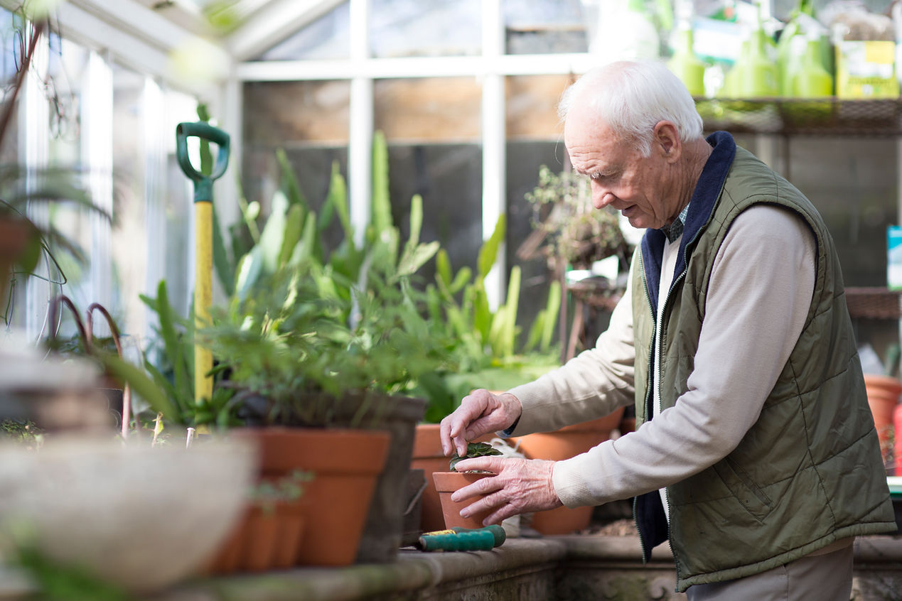 Gardener in Greenhouse