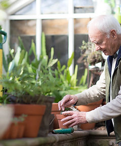 Planting a Plant