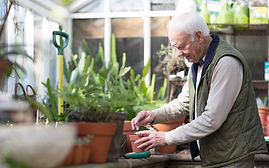 Planting a Plant