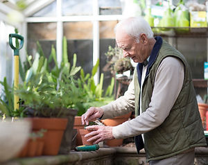 Planting a Plant