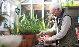 Planting a Plant