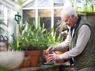 What Are the Signs That an Aging Parent Needs Help?