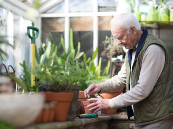 The Magic of Houseplants: 9 Reasons To Keep Them in Your Home