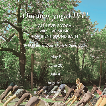 Copy of outdoor yogaLIVE!.png