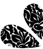 54514123704_edited.png