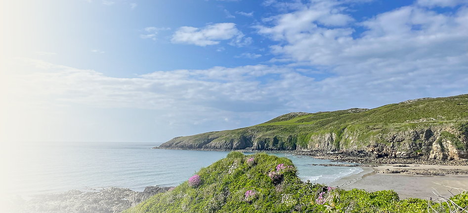 llyn-peninsula-coastal-cove-seadog-stone-overlay.png