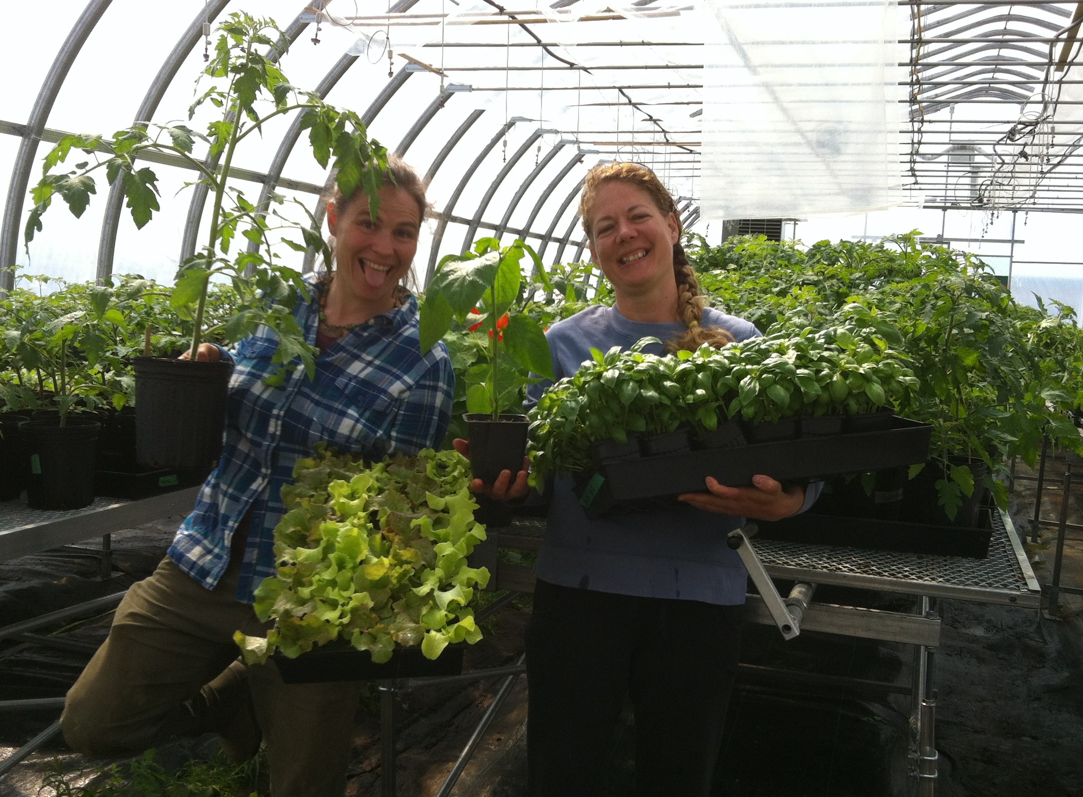 Plants certifiés biologiques