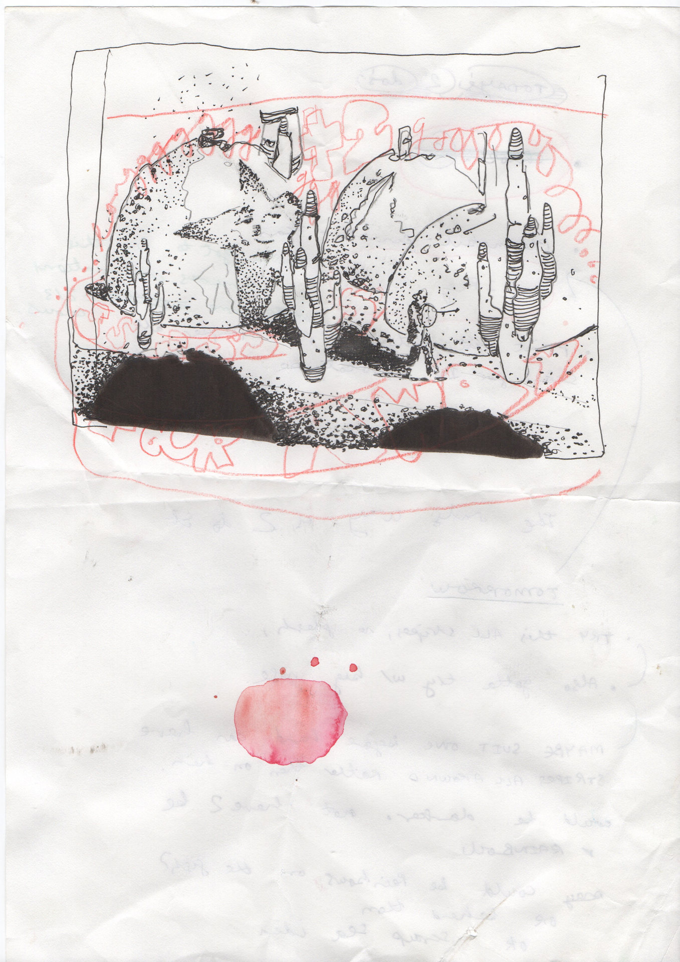 Charis Entwisle