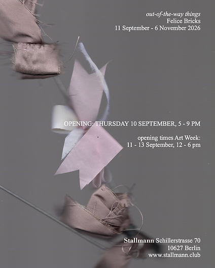 Felice Bricks_Flyer#3.png