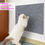 Thumbnail: Carpete Adesivo Antiarranhões CatShield
