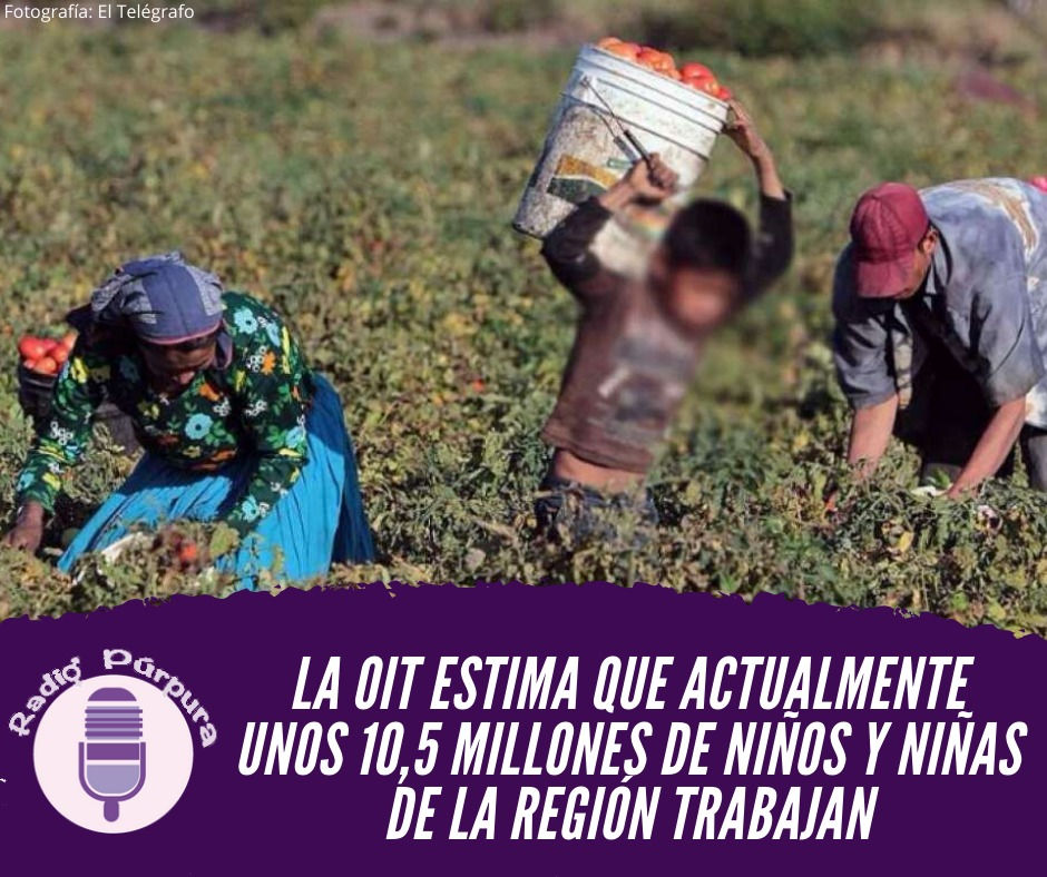 Niños y niñas trabajando