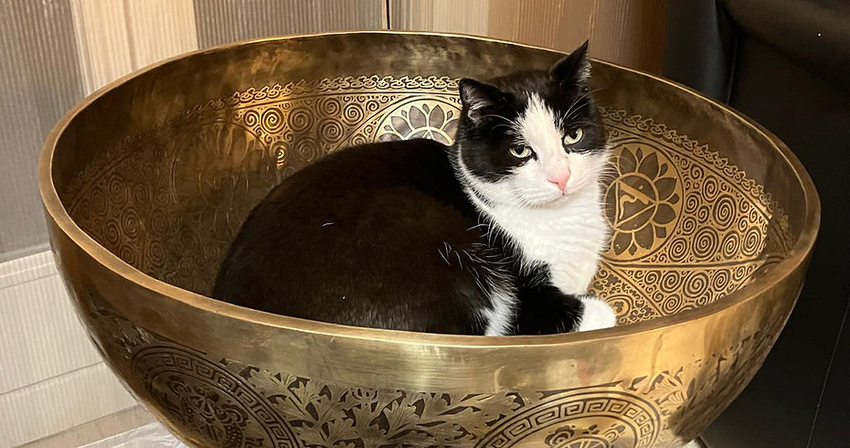 WhatsApp Image 2025-01-15 at 10.52.07.jpeg