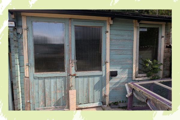 Weathered blue shed with glass-paneled doors, wood trim, and a small plant in the corner. Sunlight casts shadows, creating a rustic feel.