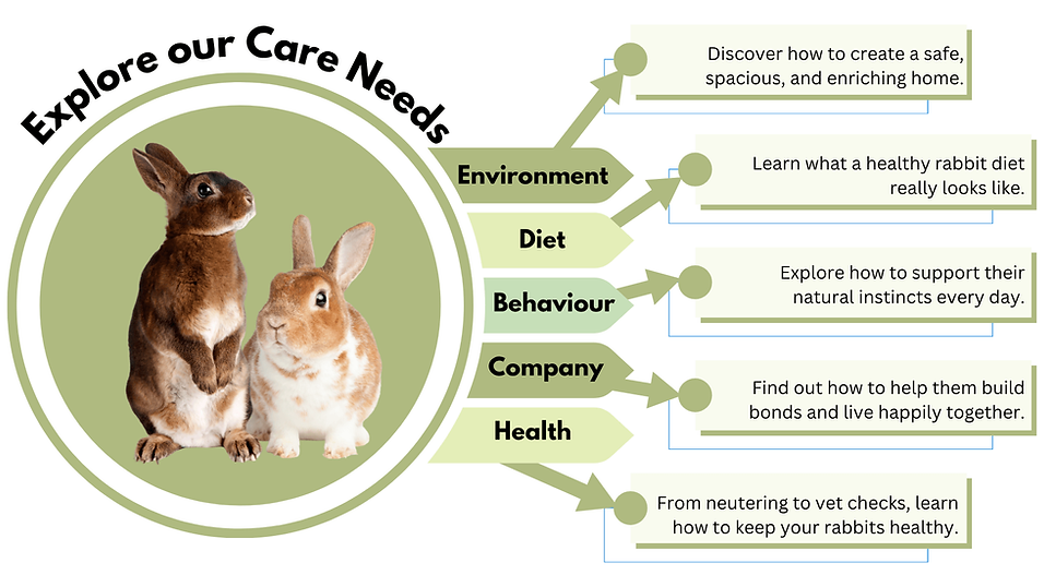 Rabbit Care Hub graphic showing two rabbits and the five rabbit welfare needs: environment, diet, behaviour, companionship, and health.