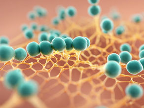 New study identifies 820 new proteins that play important role in heart disease