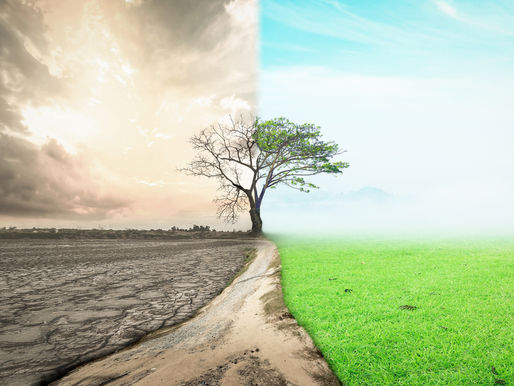 Embracing a Mindset of Abundance